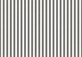 Parato Cristiana Masi Top Stripes Riga 1 fehér-fekete csíkos vlies tapéta – 38439