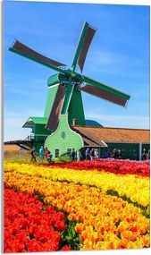 Üveg Vágódeszka 30x52 Kilátás a Konyhába