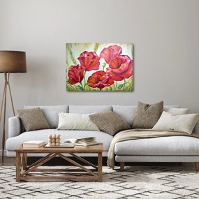 Kép - Pipacsvirágok (70x50 cm)