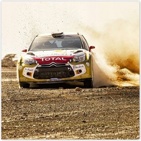 Poszterek 100x100 Rally