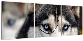 Husky kutya kép (órával) (90x30 cm)