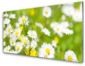 Üvegkép falra Daisy Flower Plant 100x50 cm