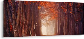 Kép - őszi erdő (120x50 cm)