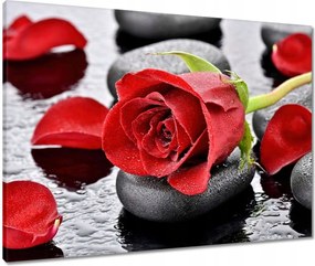 Vászonkép 80x60 Vörös rózsa Neki