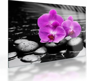 Üveg kép - Lila orchideák (70x50 cm)