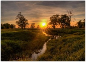 Poszterek 70x50 Lenyugvó nap Rogalin
