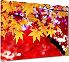 Vászonkép 50x40 Sárga őszi levél