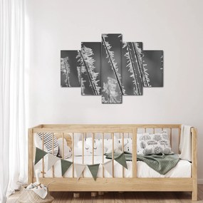 Kép - Fagyos hideg (150x105 cm)