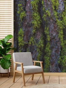 Gario Fotótapéta Mohás kéreg Anyag: Vlies, Méret: 150 x 210 cm