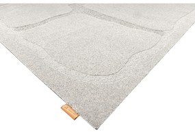 Világosszürke gyapjú szőnyeg 200x300 cm Morphic Organica – Agnella