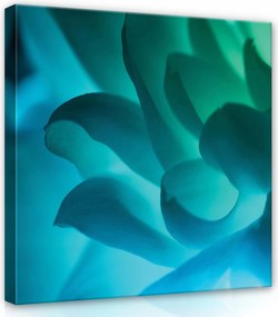 Vászonkép 80x80 Kék lótusz virág makró szirmok kék türkiz nyugalom természet