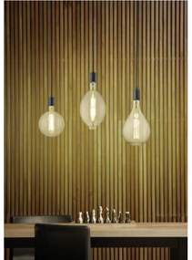 Trio - LED Dimmelhető csillár zsinóron GINSTER 3xE27/8W/230V