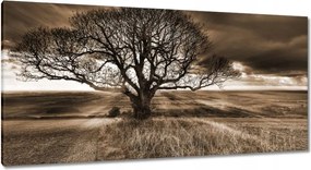 Festmények 115x55 Tájkép varázslattal