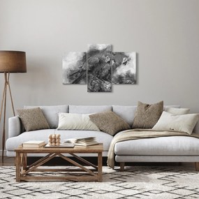 Kép - Akvarell papagájok (90x60 cm)