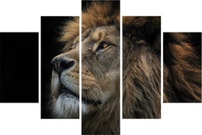 Kép - A fenséges oroszlán (150x105 cm)
