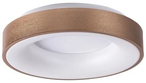 Rabalux 5052 - LED Mennyezeti lámpa CARMELA LED/30W/230V