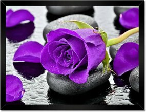 Poszter keretben 40x30 Lila rózsa kövek