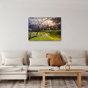 Kép - Virágzó fa az országban (70x50 cm)