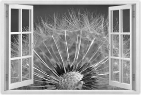 Poszterek 60x40 Pitypang Virág Virágok