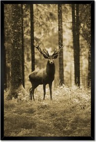 Poszter keretben 40x60 Szarvas a szépia erdőben