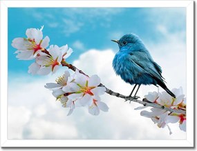 Poszterek keretben 40x30 Madár az ágon Finom virágok neki