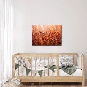 Kép - Textúra részlet (70x50 cm)