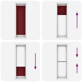 pliszírozott redőny Bordeaux piros 65x200 cm szövetszélesség