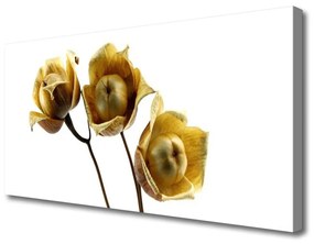Vászonkép virágok növények 120x60 cm