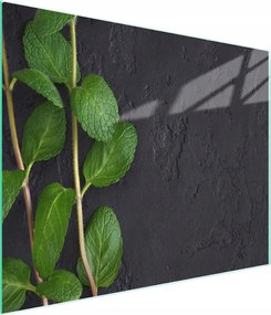 Üveg Vágódeszka 52x30 Menta Edzett Üveg