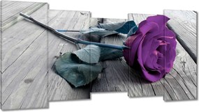 Vászonkép 150x80 Lila rózsa Padló