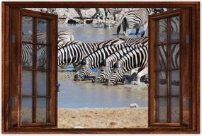 Poszterek 90x60 Zebrák a vízparton