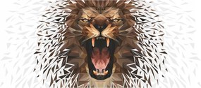 Fotótapéta Geometrikus oroszlán sörény 250x104 modern stílus +ragasztó
