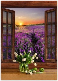 Poszterek 50x70 Kilátás az ablakból a levendulára