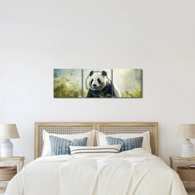 Kép - Panda (órával) (90x30 cm)
