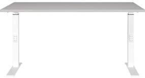 Íróasztal állítható magassággal 80x140 cm Downey – Germania