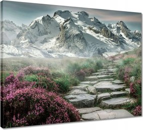 Vászonkép 50x40 Hegyi kilátás Tájkép Köd