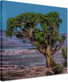 Festmények 30x30 Kilátás Tájkép