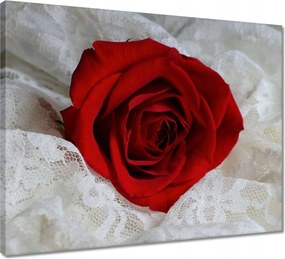 VĂĄszonkĂ©p 50x40 Kedves ajĂĄndĂ©k a kedvesedtĆl