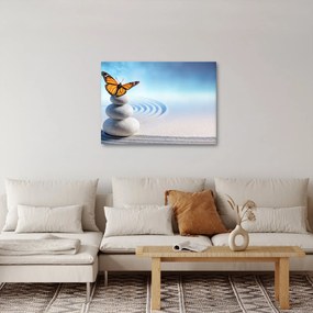 Kép - Zen kert (70x50 cm)