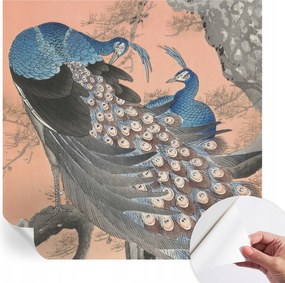 Dekoratív öntapadós fotótapéta páva elegancia 250x250 cm