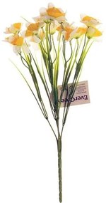 Sárga-fehér nárcisz, 15 virágos csokor, magasság32 cm