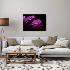 Kép - Vízcsepp (üvegen) (70x50 cm)