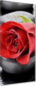 Vászonkép 55x115 Vörös rózsa Neki