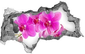 3d-s lyukat fali matrica Rózsaszín orchidea nd-b-67673367