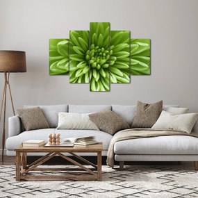 Kép - Makro kép egy növényről (150x105 cm)