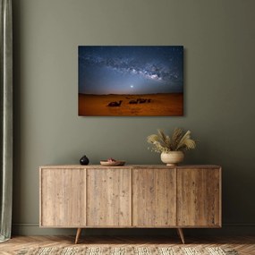 Kép - Éjszaka a sivatagban (90x60 cm)