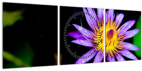 Virágos kép (órával) (90x30 cm)