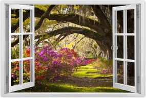 Poszterek 90x60 Tölgyfa sikåtor