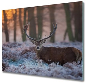 Üveg vágódeszka Deer napkelte 60x52 cm