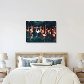 Flamingók csordája (üvegen) (70x50 cm)